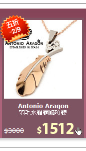 羽毛水鑽鋼飾項鍊