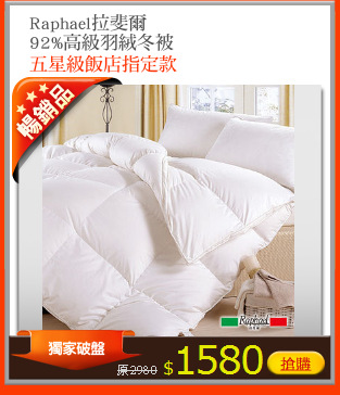 Raphael拉斐爾
92%高級羽絨冬被
