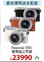 Panasonic GM1<br>
變焦組公司貨