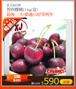 9.5ROW
智利櫻桃(1kg/盒)