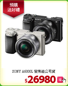SONY A6000L 
變焦組公司貨