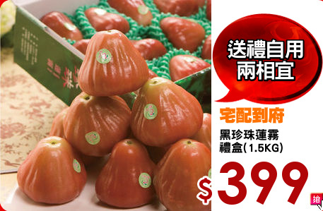 黑珍珠蓮霧
禮盒(1.5KG)