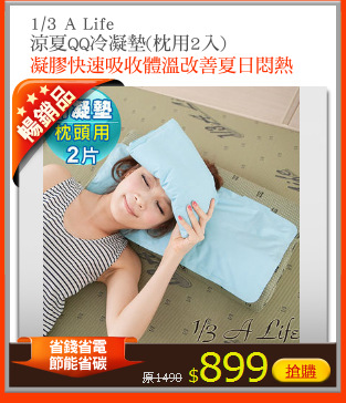 1/3 A Life 
涼夏QQ冷凝墊(枕用2入)