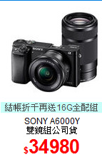 SONY A6000Y<BR>
雙鏡組公司貨