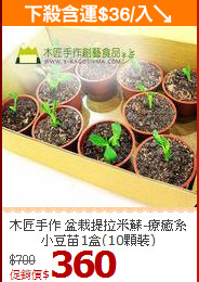 木匠手作 盆栽提拉米蘇-療癒系小豆苗1盒(10顆裝)