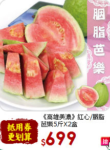 《高雄美濃》紅心/胭脂<br>芭樂5斤X2盒