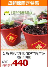 盆栽提拉米蘇糕-石蓮花限定版1盒(10顆)