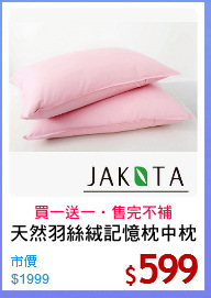 天然羽絲絨記憶枕中枕