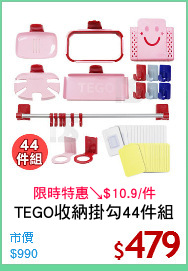 TEGO收納掛勾44件組