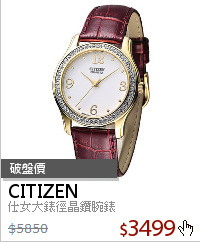 仕女大錶徑晶鑽腕錶