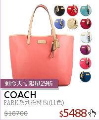 PARK系列托特包(11色)