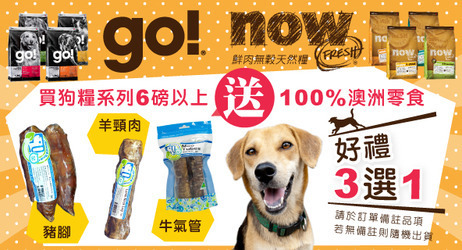 寵物
