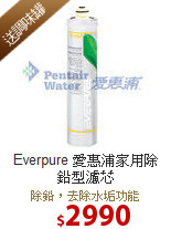 Everpure 愛惠浦家用除鉛型濾芯