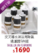 交叉導水淋浴用除氯<BR>過濾器5件組
