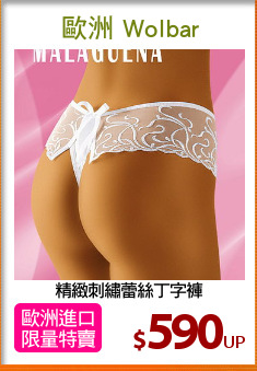 精緻刺繡蕾絲丁字褲