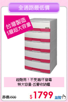 超耐用！不受潮/不發霉<BR>特大容量-五層收納櫃