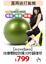 【ecowellness】<br>
按摩顆粒防爆30吋韻律球