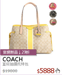 直條抽繩托特包