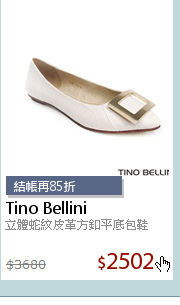 立體蛇紋皮革方釦平底包鞋