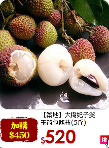 【築地】大樹妃子笑<br>玉荷包荔枝(5斤)