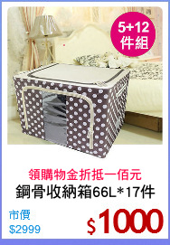 鋼骨收納箱66L*17件