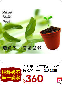 木匠手作-盆栽提拉米蘇<br>療癒系小豆苗1盒10顆