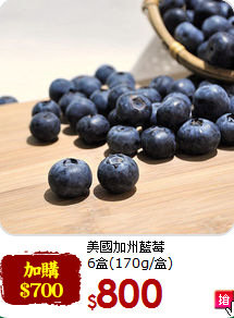 美國加州藍莓<br>6盒(170g/盒)