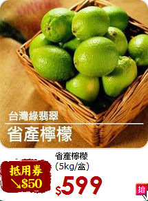 省產檸檬<br>(5kg/盒)