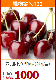西北櫻桃9.5Row(2kg/盒)
