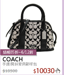 手提/肩斜背保齡球包