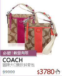 圓牌大C織紋斜背包