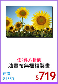 油畫布無框複製畫