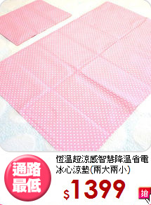恆溫超涼感智慧降溫省電冰心涼墊(兩大兩小)