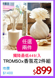 TROMSOx香氛花2件組