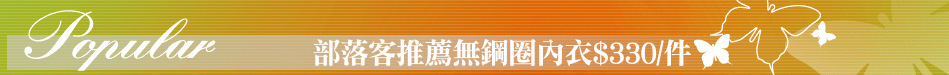 部落客推薦無鋼圈內衣$330/件
