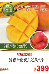 一路香台南愛文芒果5斤