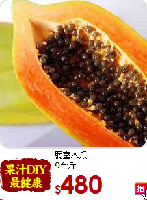 網室木瓜<br>9台斤