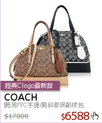 網洞PVC手提/肩斜背保齡球包