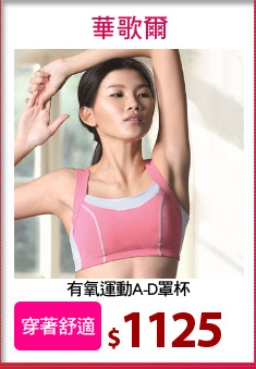 有氧運動A-D罩杯