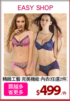 精緻工藝 完美機能 內衣(任選2件)