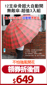 12支傘骨超大自動開
無敵傘-超值3入組