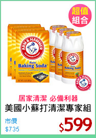 美國小蘇打清潔專家組