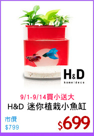 H&D 迷你植栽小魚缸