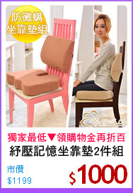 紓壓記憶坐靠墊2件組