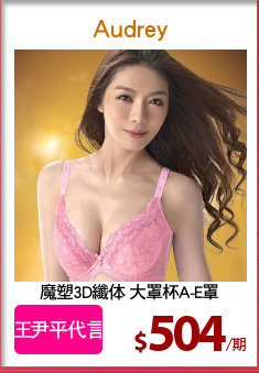 魔塑3D纖体 大罩杯A-E罩