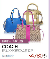 精選LOGO織紋/全皮包款