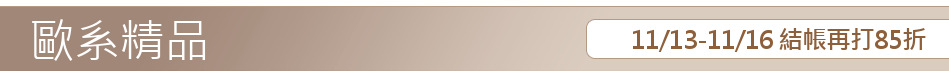 11/13-11/16 結帳再打85折