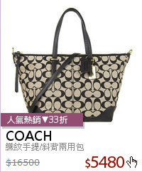 織紋手提/斜背兩用包