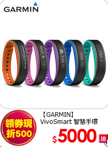 【GARMIN】VivoSmart
智慧手環