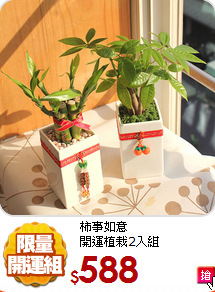 柿事如意<br>
開運植栽2入組